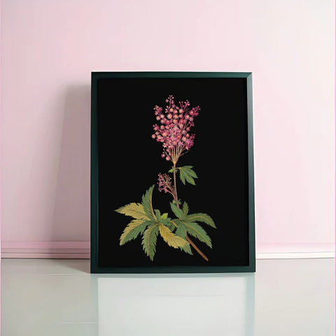 Impression d’art montrant le collage de fleurs de Mary Delany, intitulé « Red Meadow Flowers ». Cette impression montre les couleurs vives et les techniques inhabituelles créées par Delany.