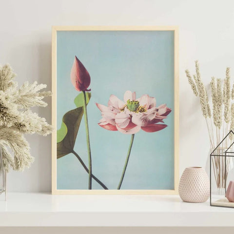 Lotus Flowers Art Print by Ogawa Kazumasa