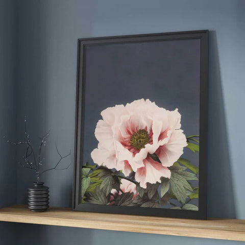 Art Print of Ogawa Kazumasa's 'Peony'