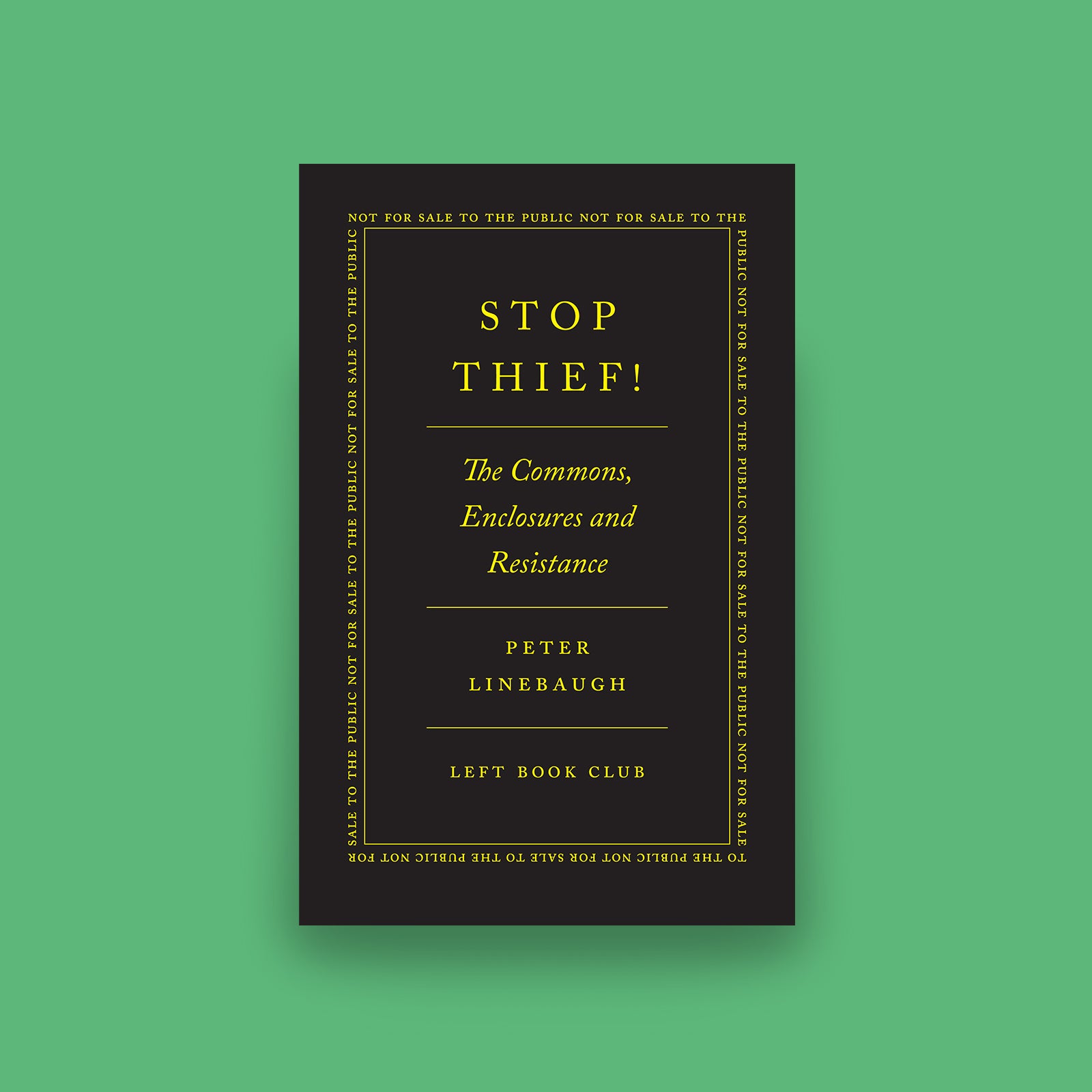 Book cover for Stop Thief!