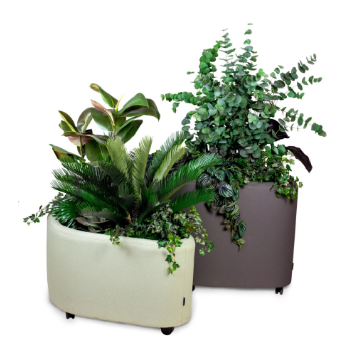 Introduksjon kunstige planter