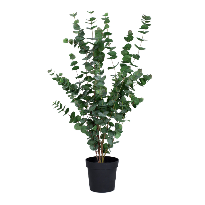 Kunstig plante Eukalyptus