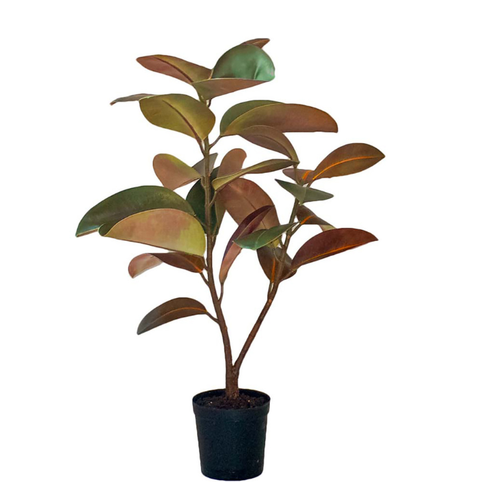 kunstig plante Ficus