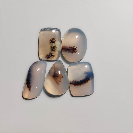 Scenic Dendritic Agate Cabochons Lot – Lapidaryartist