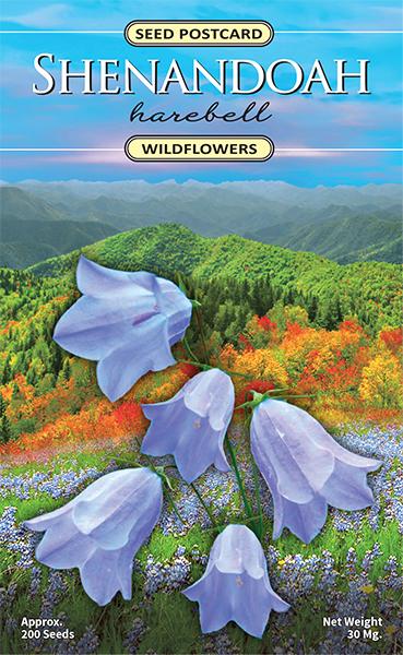 Shenandoah Harebell Seed Packet