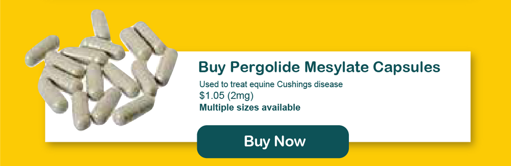 ThrivingPets Pergolide 2mg Price and Buy Now Link