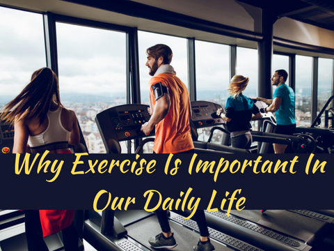 Why Exercise Is Important In Our Daily Life