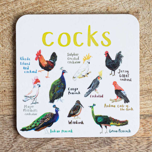 Boobies Bird Coaster – Sarah Edmonds Illustration