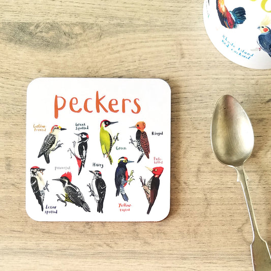 Boobies Bird Coaster – Sarah Edmonds Illustration