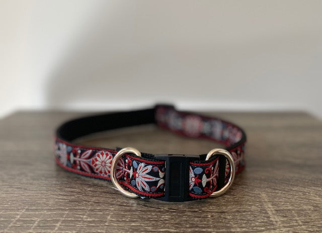 are buckle dog collars safe