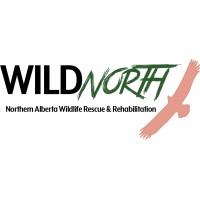 wildnorth_northern_alberta_wildlife_rescue_and_rehabilitation_logo