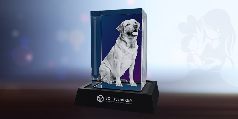 3D Crystal Portrait