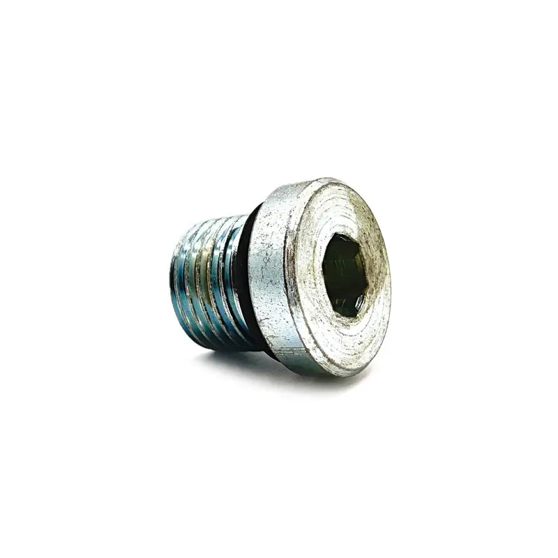 Polaris Fill Plug | 2203739