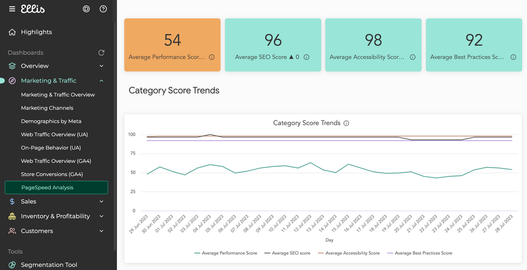 Ellis PageSpeed Analysis dashboard