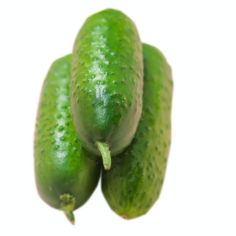 Cucumber Gherkin National Seeds