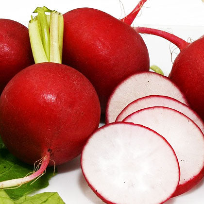 large red radish