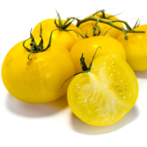 Ola Polka Yellow Tomato