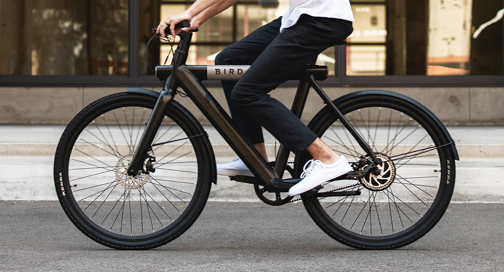 Zich voorstellen Pas op Fruit groente Bird Bike review: is de e-bike het waard? | Voltes - Electric Mobility