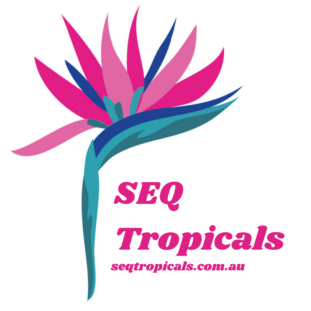 SEQTropicals