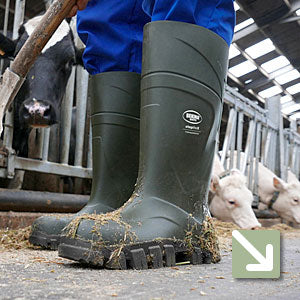 Farm & Dairy Supplies, Wellies, Gloves, Animal Health & More