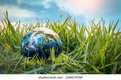 "earth" in grass