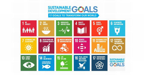 SDGs-17 GOALS TO TRANSFORM OUR WORLD