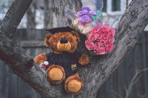 Graduation teddy bear on tree with bouquets