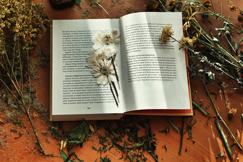 Pressed flowers in a book