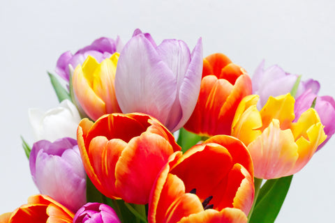 Orange and pink tulip bouquet