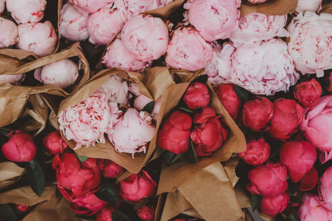 Peonies