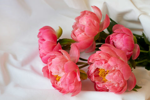 Pink peony bouquet laying on table