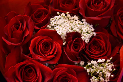 Red roses