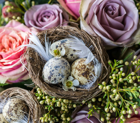 Multicolor easter eggs in a next amongst roses