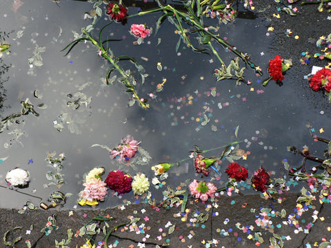 Roses and flower confetti in water