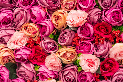 Bunch of pink, red, and orange roses