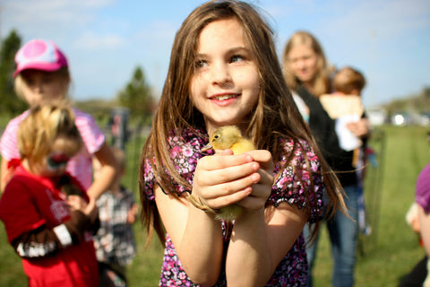 Young girl holding chick in her hands