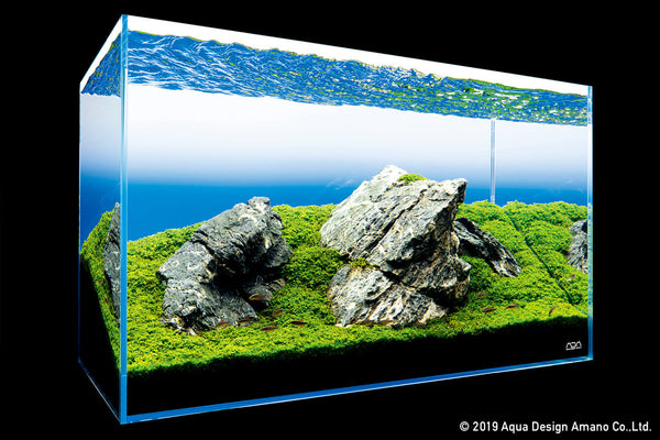 Rock style aquascaping in fish tank with feature rocks and plants