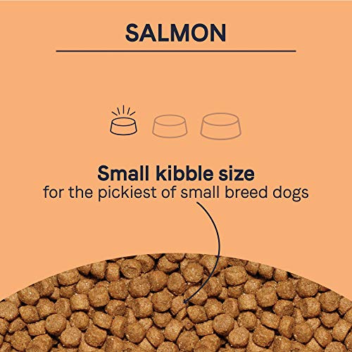 Canidae PURE Petite Limited Ingredient Premium Small Breed Adult Dry Dog Food, Salmon Recipe, Freeze Dried Raw Coated, 10 Pounds, Grain Free