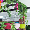 Retraxco™️ | Hang je planten met gemak op