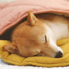 Purr-fectly Plush™️ | De ultieme deken voor je huisdier om zich te verwarmen en te ontspannen