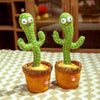 Dancing Cactus™ 🌵 - Sorandi.nl