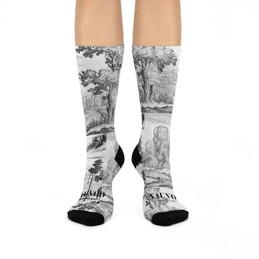 The Teancums BOMSocks  Book of Mormon Themed Socks