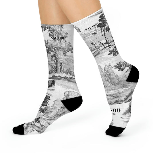 The Teancums BOMSocks  Book of Mormon Themed Socks – BomSocks