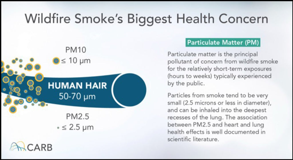 Wildfire Smoke's Biggest Health Concern - California Air Resources Board