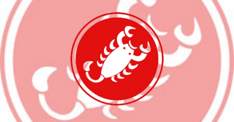 Castelli Logo