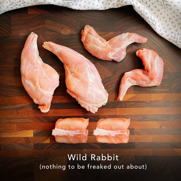 A butchered wild rabbit