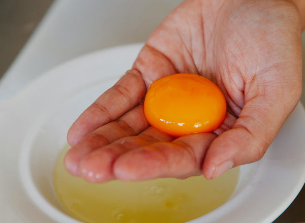 Separating egg yolk to make fresh pasta