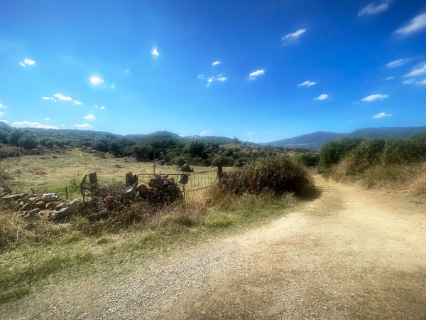 Typical Sardinian landscape