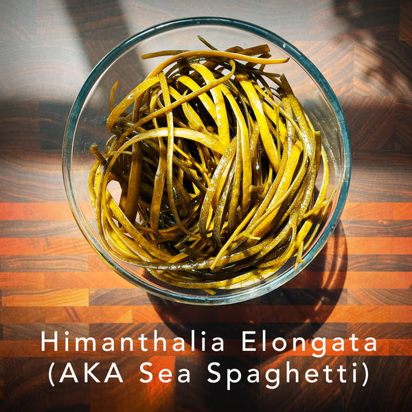 Fresh sea spaghetti