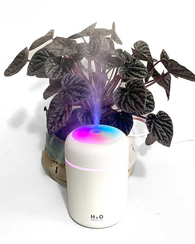 cool mist diffuser benefits for plants